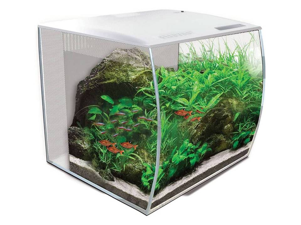 Aquarium tortue aquatique verre concave avec filtre et led Fluval
