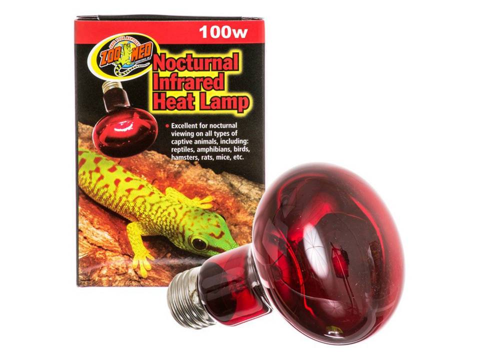 Lampe infrarouge pour reptile 100 watts Zoo Med