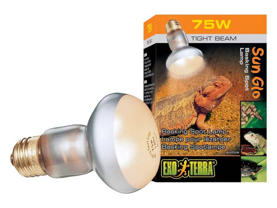 Lampe chauffante pour terrarium tortue 75 watts Exo Terra Intense Spot